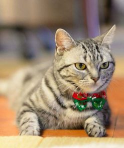 Papion pentru pisici de Craciun Christmas-Purr