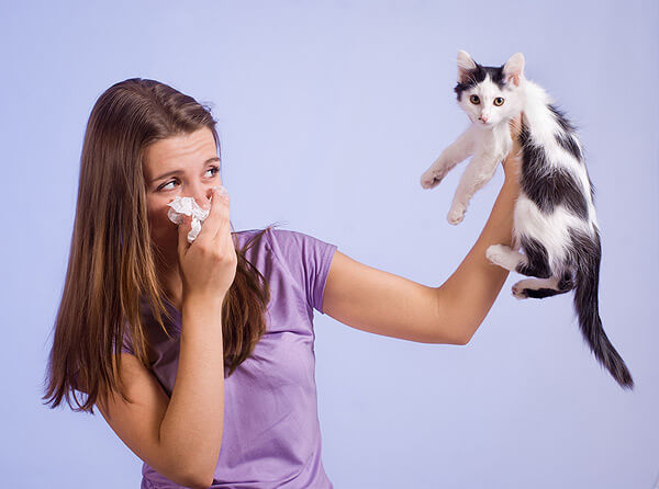 persoana-alergica-la-pisici