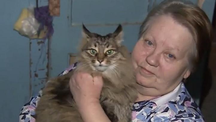 Masha, pisicuta care a salvat un bebelus abandonat