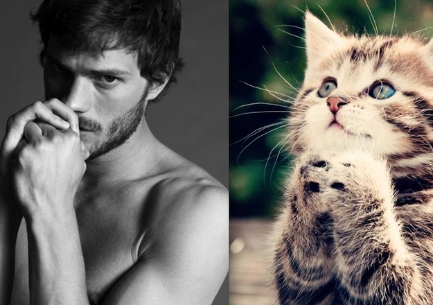 barbati celebri vs. pisici
