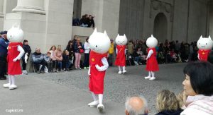 Festivalul pisicilor din Belgia