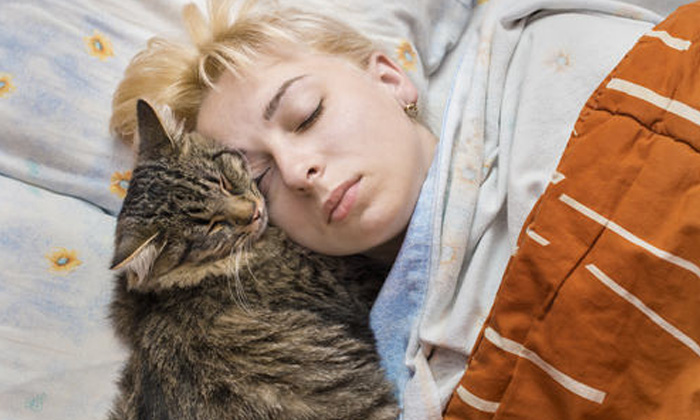 De ce pisicii ii place sa doarma la capul tau