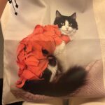 Geanta din bumbac-Personalizata cu Poza Pisicii Tale