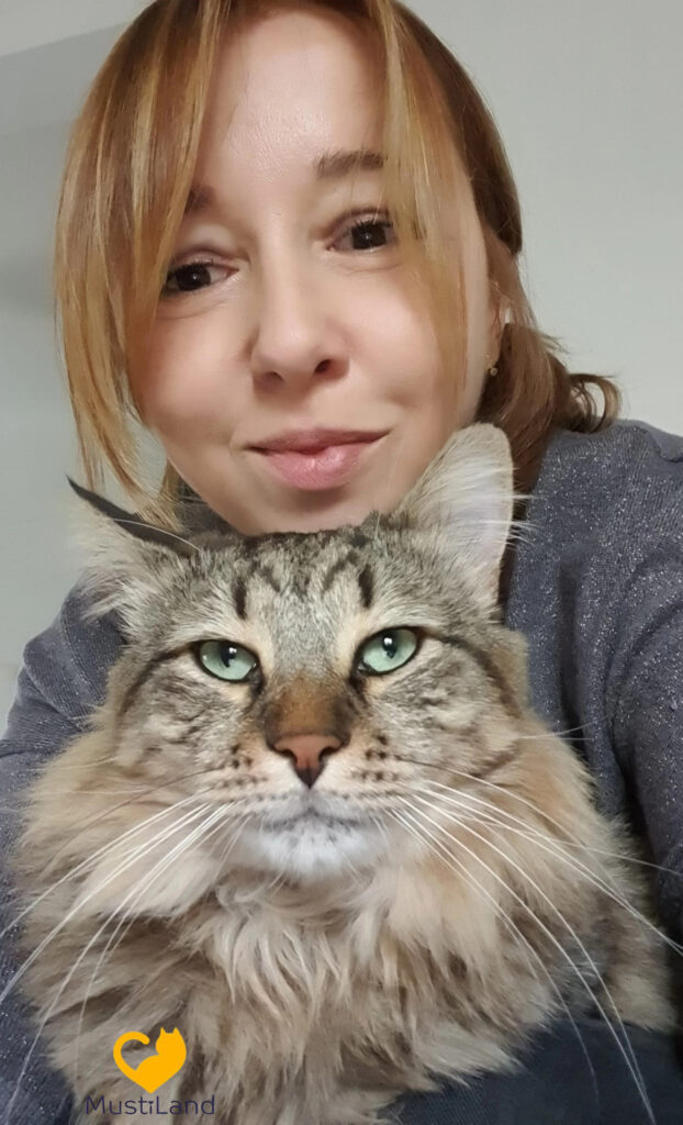 MustiLand – De la iubire pentru pisici, la servicii excelente de pet sitting