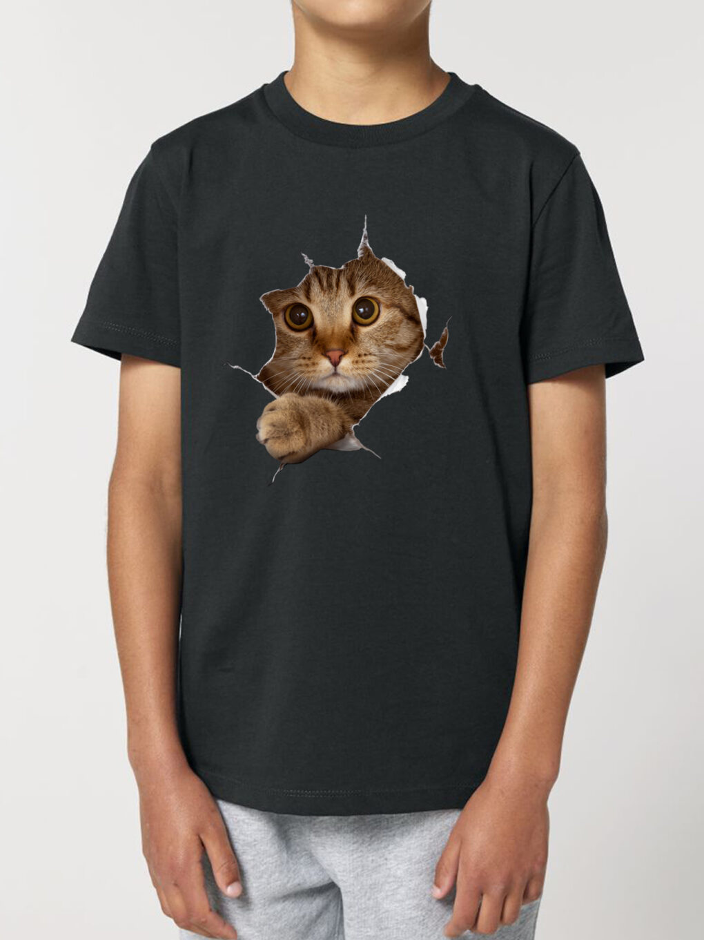 Tricou bumbac organic-Curious Cat, Copii