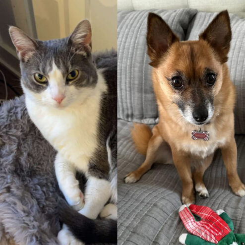 Bratara din Argint Personalizata-Best Friends Forever