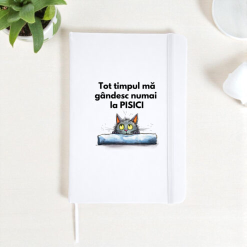 Agenda-Ma gandesc numai la pisici