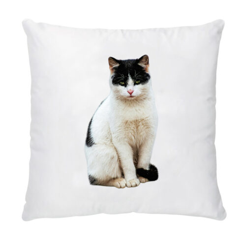 Perna decorativa-Personalizata cu Poza Pisicii