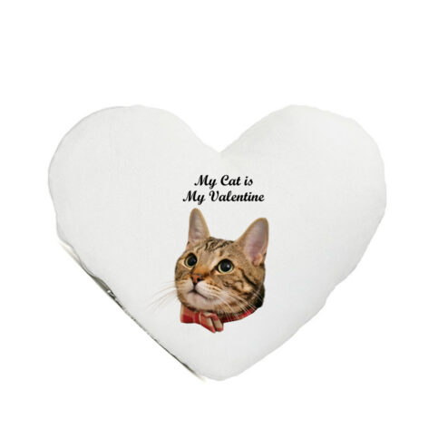 Perna inima-My Cat is My Valentine