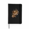 Agenda-Curious Cat