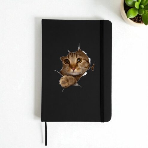Agenda-Curious Cat