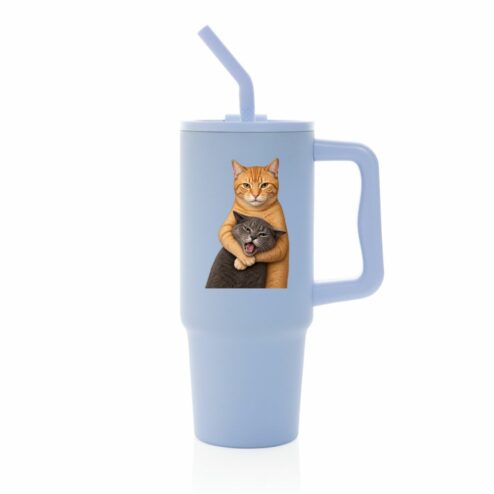 Cana termica premium cu pai-Best Friends