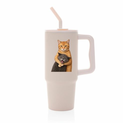 Cana termica premium cu pai-Best Friends