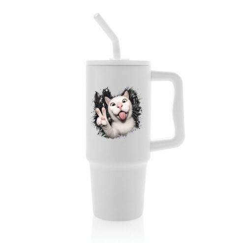 Cana termica premium cu pai-Crazy Cat