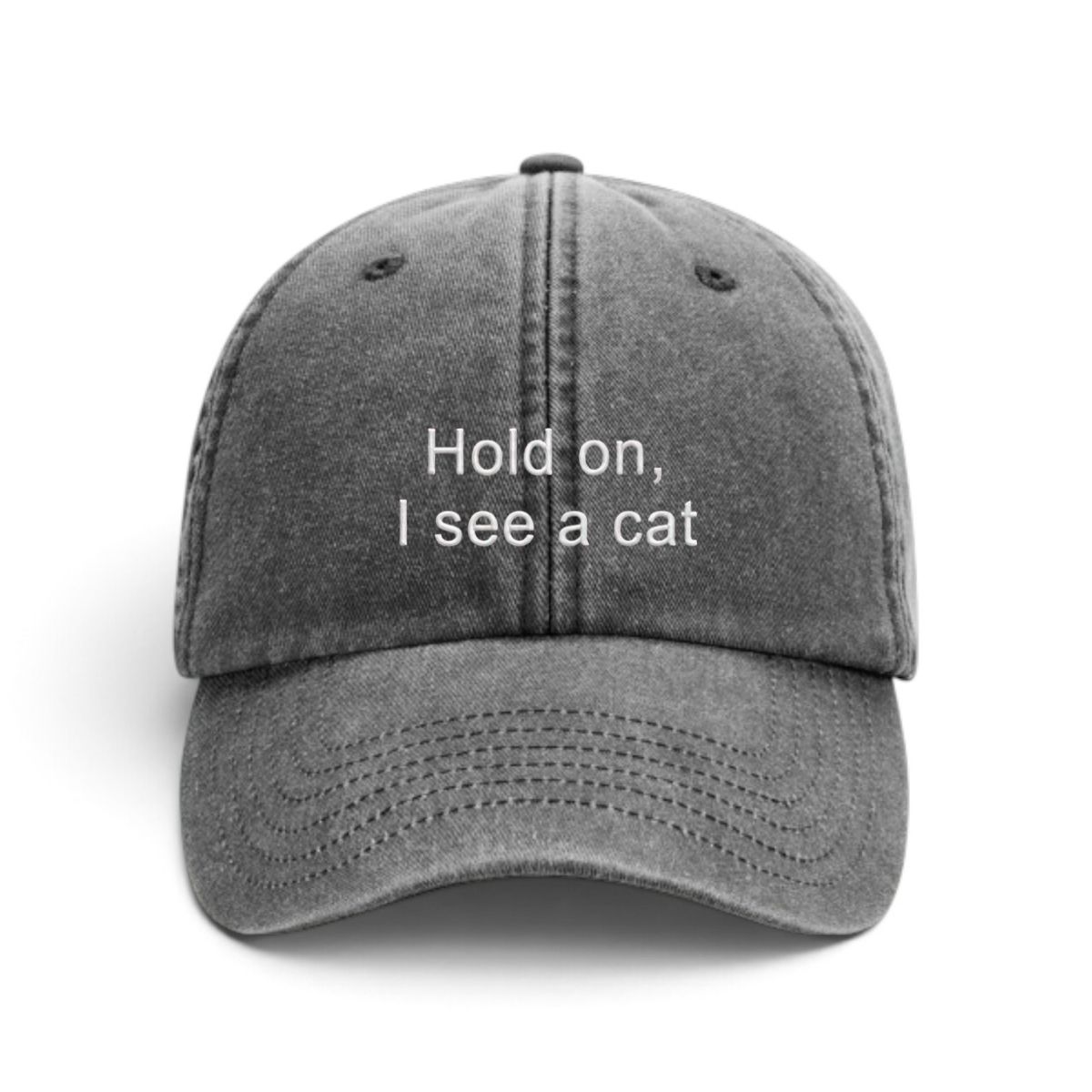 Sapca brodata-Hold on, I see a cat