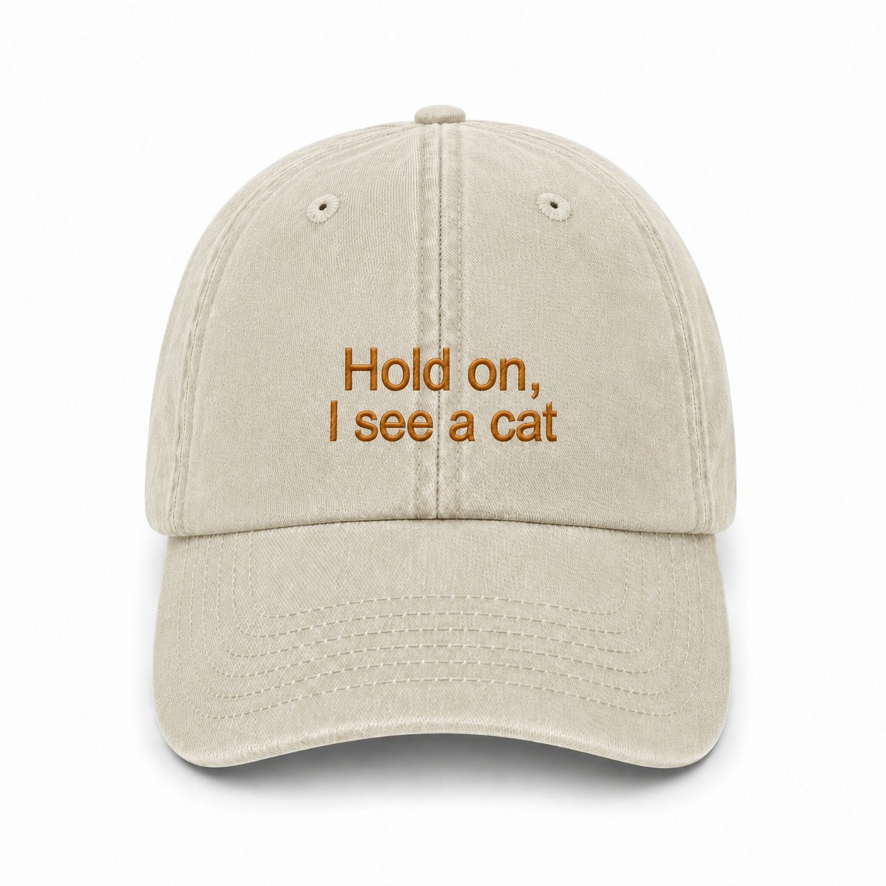 Sapca brodata-Hold on, I see a cat