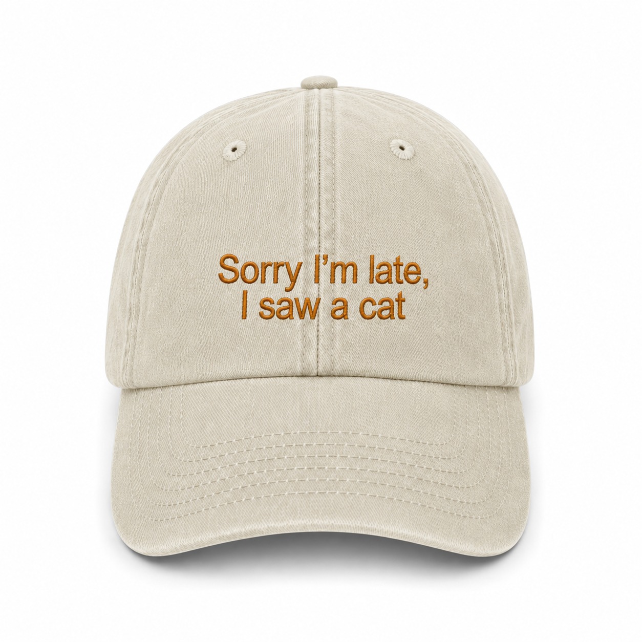 Sapca brodata-Sorry I'm late, I saw a cat