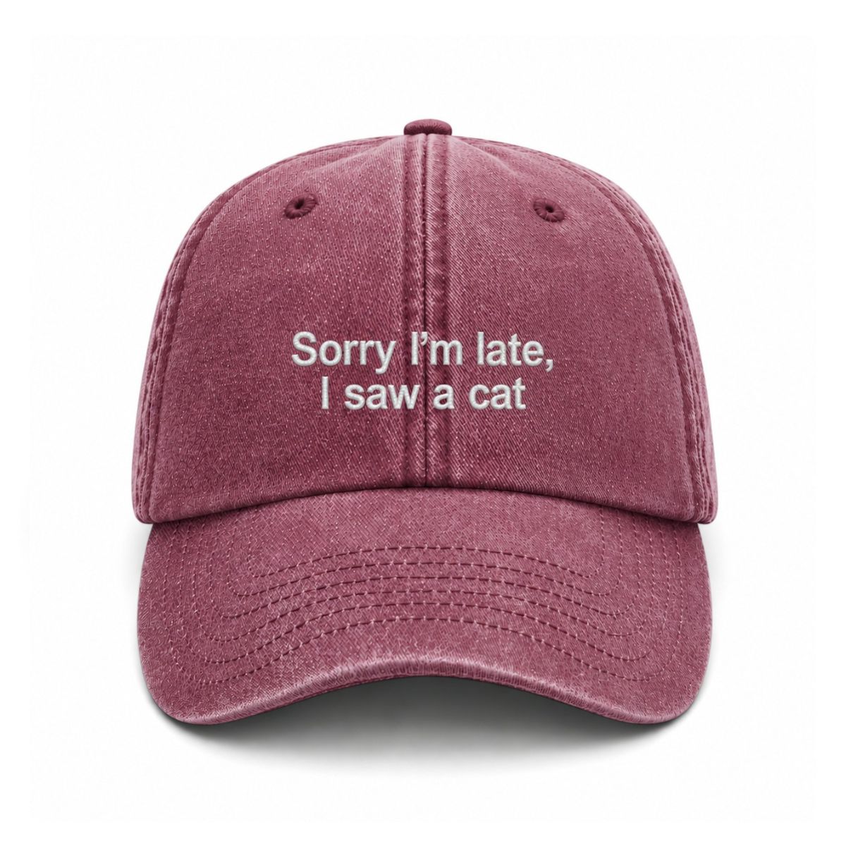 Sapca brodata-Sorry I'm late, I saw a cat