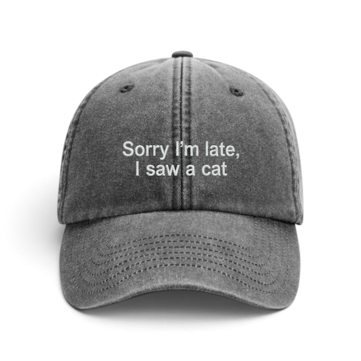 Sapca brodata-Sorry I'm late, I saw a cat